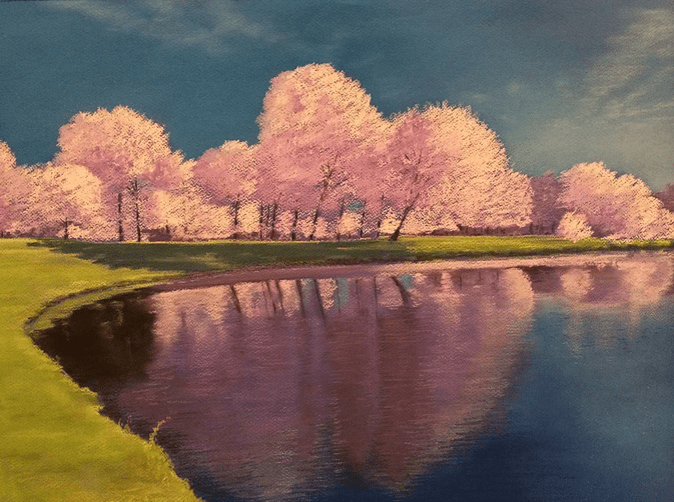 Tina Husted - Art at Argo's, Cherry Blossom Daze