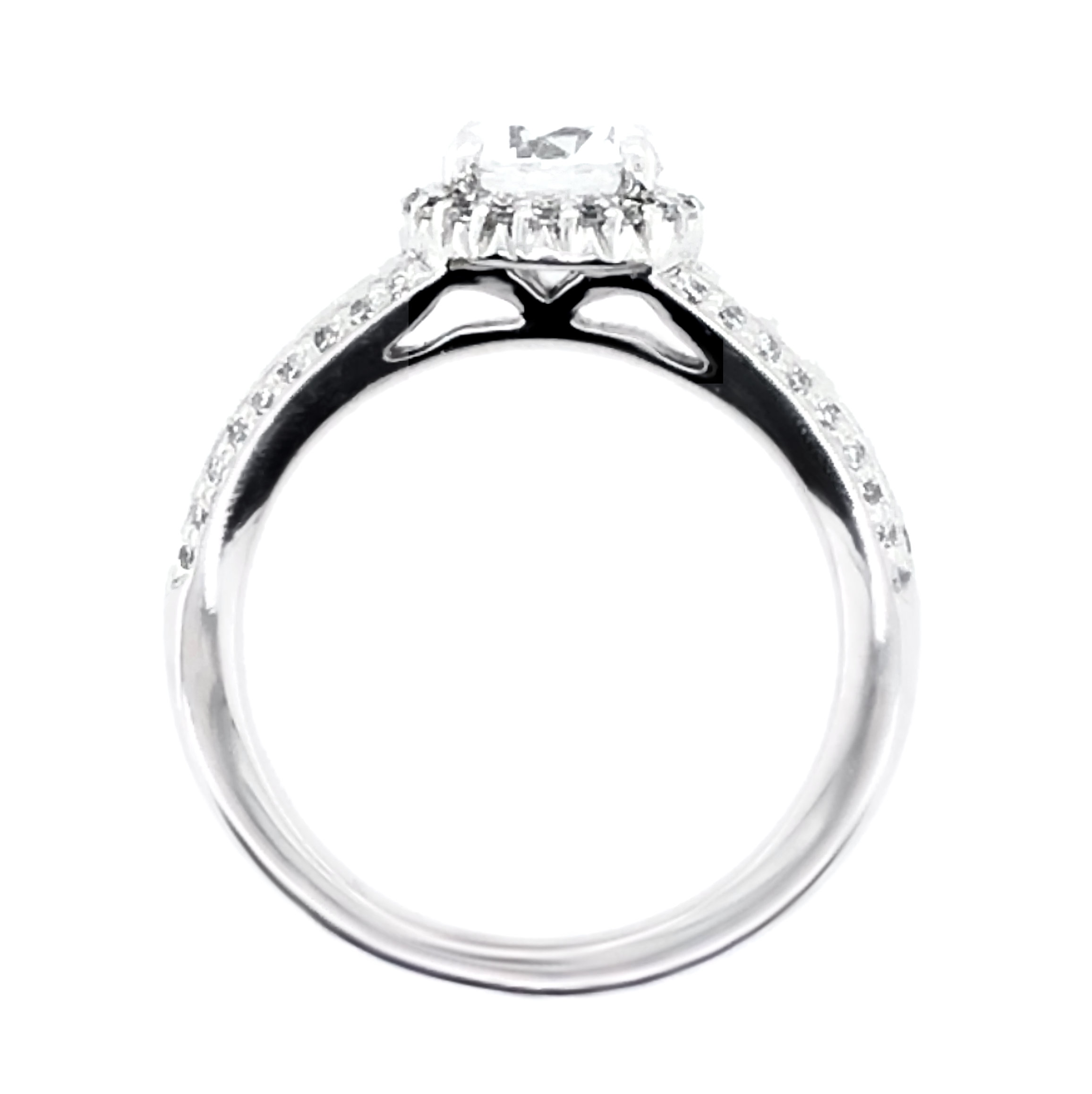 WHITE GOLD DIAMOND RING MOUNTING - Argo & Lehne Jewelers